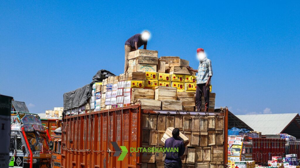 Pilihan Kargo untuk Bisnis Baru